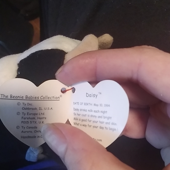 Ty collectable, original TY daisey - Picture 2 of 2
